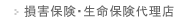 ���Q�ی��E�����ی��㗝�X